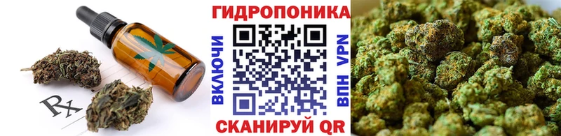 Canna-Cookies конопля ОМГ ОМГ ссылки Порхов