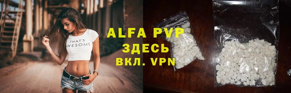 сатива Арсеньев