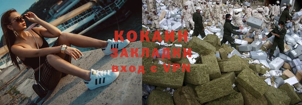 сатива Арсеньев