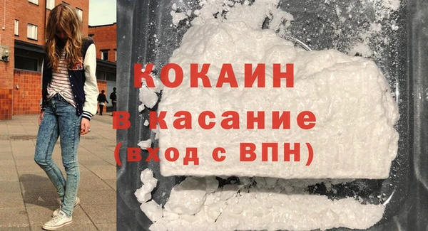 сатива Арсеньев
