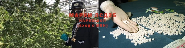 сатива Арсеньев